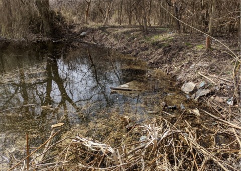 Water sampling – Zakrzówek, Kraków