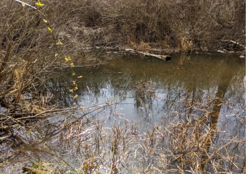 Water sampling – Zakrzówek, Kraków