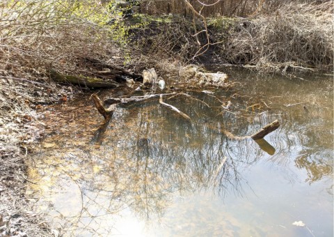 Water sampling – Zakrzówek, Kraków