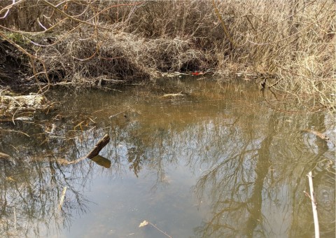 Water sampling – Zakrzówek, Kraków