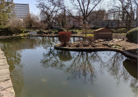 Water sampling – Botanical Garden, Kraków