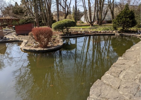 Water sampling – Botanical Garden, Kraków