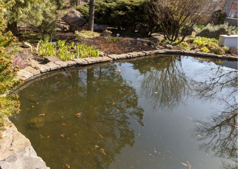 Water sampling – Botanical Garden, Kraków