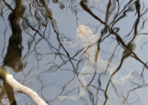 Water sampling – Christo Botewa, Kraków