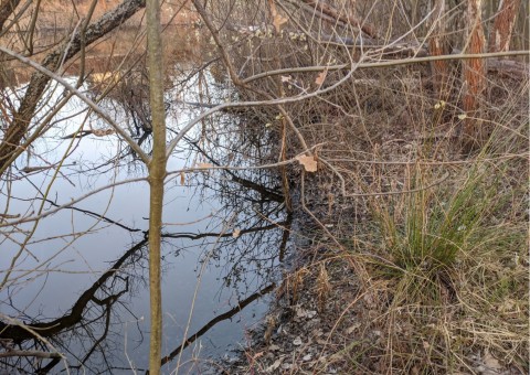 Water sampling – Christo Botewa, Kraków