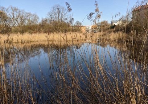 Water sampling – Szuwarowa, Kraków