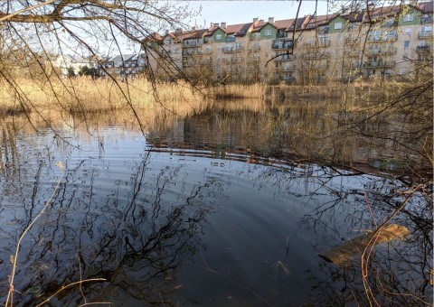 Water sampling – Szuwarowa, Kraków