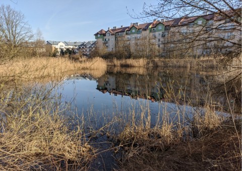 Water sampling – Szuwarowa, Kraków