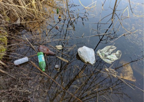 Water sampling – Szuwarowa, Kraków