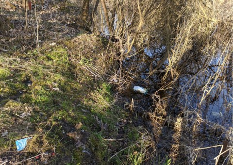 Water sampling – Szuwarowa, Kraków