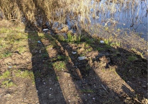 Water sampling – Szuwarowa, Kraków