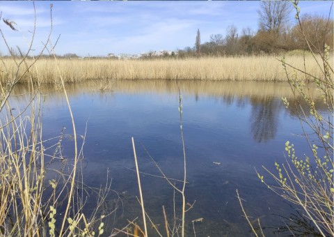 Water sampling – Nowa Huta Meadows, Kraków