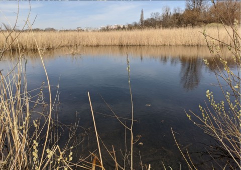 Water sampling – Nowa Huta Meadows, Kraków