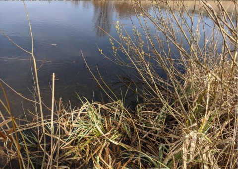 Water sampling – Nowa Huta Meadows, Kraków