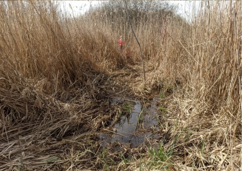 Water sampling – Nowa Huta Meadows, Kraków