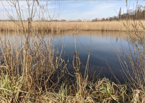 Water sampling – Nowa Huta Meadows, Kraków