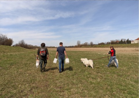 Water sampling – Nowa Huta Meadows, Kraków