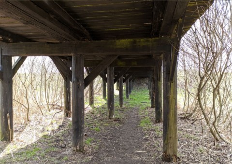 Water sampling – Nowa Huta Meadows, Kraków