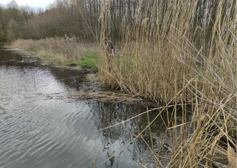 Water sampling – Niepołomice Forest