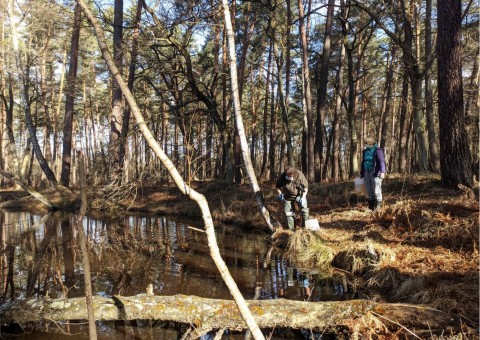 Water sampling – Dziewin (commune Drwinia)