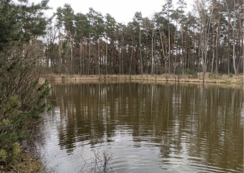 Water sampling – Błoto, Niepołomice