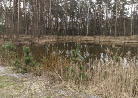 Water sampling – Błoto, Niepołomice