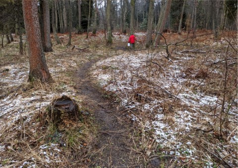 Water sampling – Niedźwiedzia Góra, Tenczynek (commune Krzeszowice)