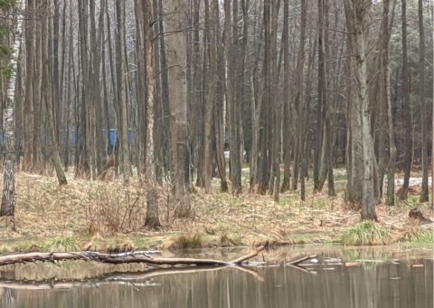 Water sampling – Niedźwiedzia Góra, Tenczynek (commune Krzeszowice)