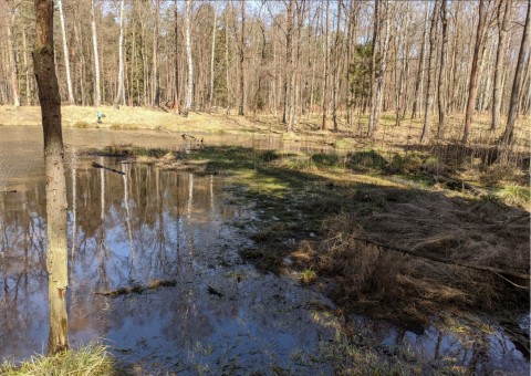 Water sampling – Niedźwiedzia Góra, Tenczynek (commune Krzeszowice)