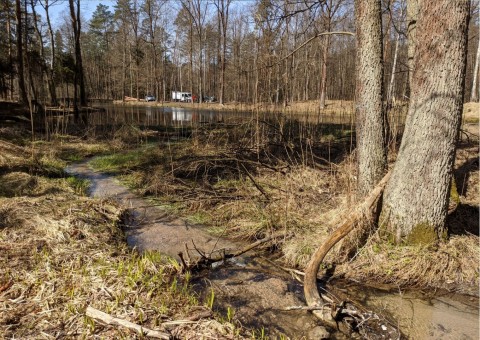 Water sampling – Niedźwiedzia Góra, Tenczynek (commune Krzeszowice)