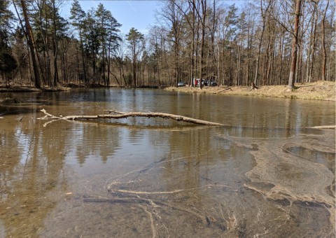 Water sampling – Niedźwiedzia Góra, Tenczynek (commune Krzeszowice)