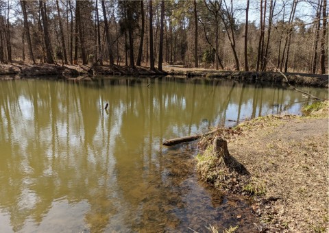 Water sampling – Niedźwiedzia Góra, Tenczynek (commune Krzeszowice)