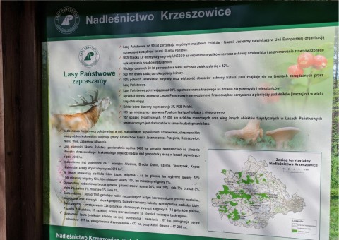 Water sampling – Niedźwiedzia Góra, Tenczynek (commune Krzeszowice)