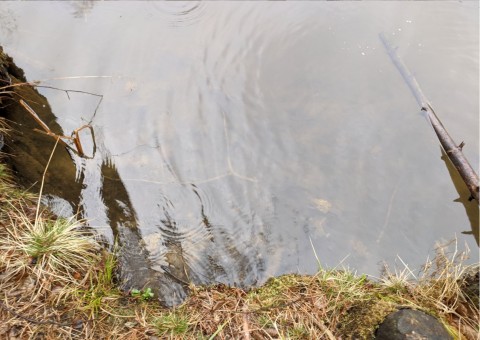 Water sampling – Niedźwiedzia Góra, Tenczynek (commune Krzeszowice)