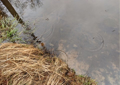 Water sampling – Niedźwiedzia Góra, Tenczynek (commune Krzeszowice)