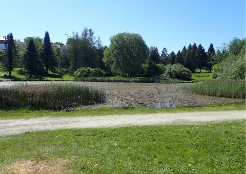 Water sampling – Ringve Botanical Garden, Trondheim