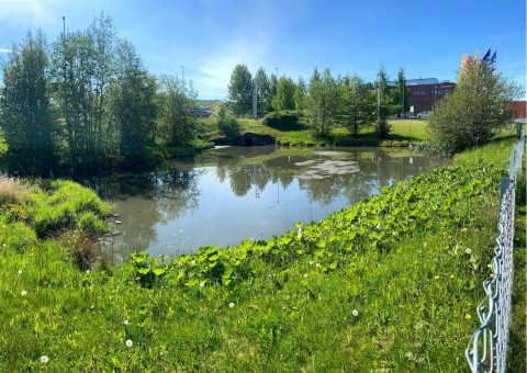 Water sampling – Ringve Botanical Garden, Trondheim