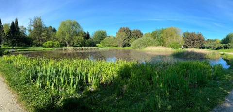 Water sampling – Ringve Botanical Garden, Trondheim