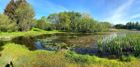 Water sampling – Ringve Botanical Garden, Trondheim