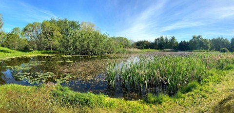 Water sampling – Ringve Botanical Garden, Trondheim