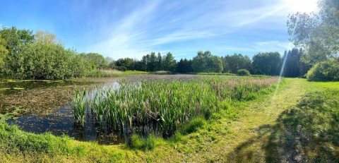 Water sampling – Ringve Botanical Garden, Trondheim