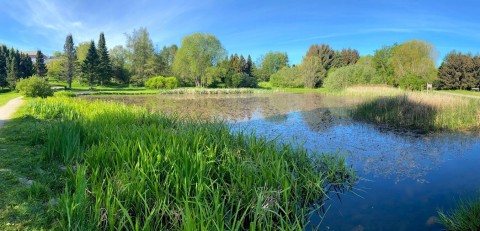 Water sampling – Ringve Botanical Garden, Trondheim