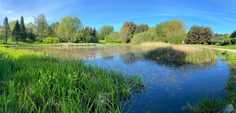 Water sampling – Ringve Botanical Garden, Trondheim