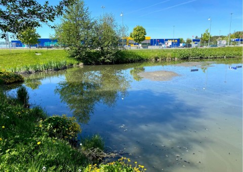 Water sampling – Leangen, Landbruksvegen, Trondheim