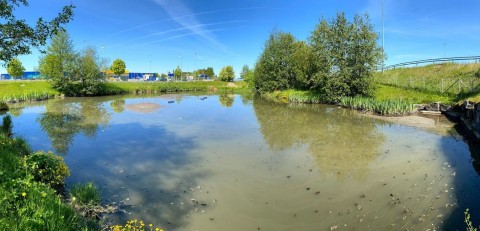 Water sampling – Leangen, Landbruksvegen, Trondheim