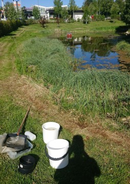 Water sampling – Sverresborg Allé, Trondheim