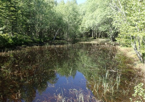 Water sampling – Granåsen, Trondheim