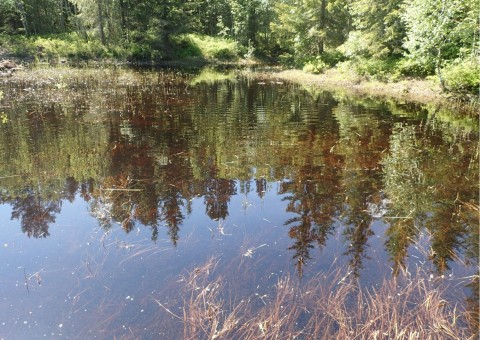 Water sampling – Granåsen, Trondheim