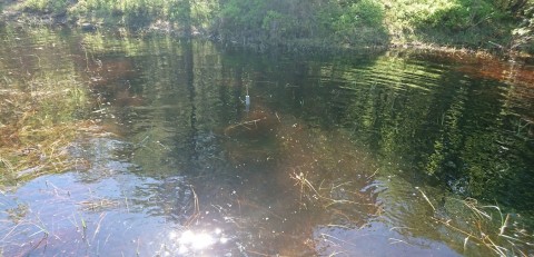 Water sampling – Granåsen, Trondheim