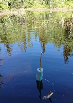 Water sampling – Granåsen, Trondheim